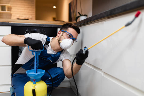 Best Pest Inspection Near Me  in Huntley, IL