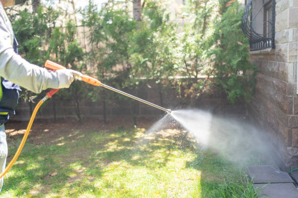 Best Wasp Removal Services  in Huntley, IL