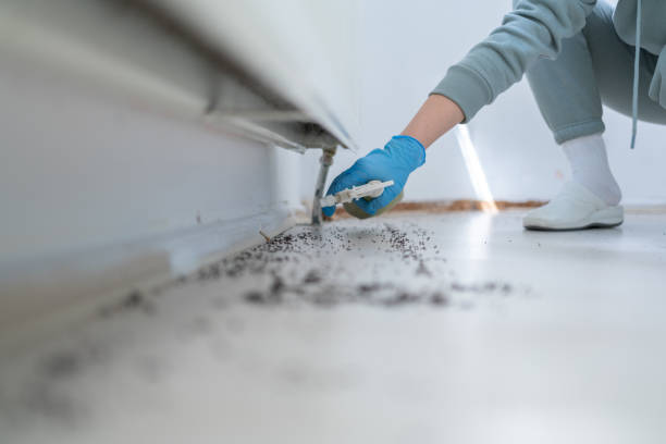 Best Pest Prevention Services  in Huntley, IL