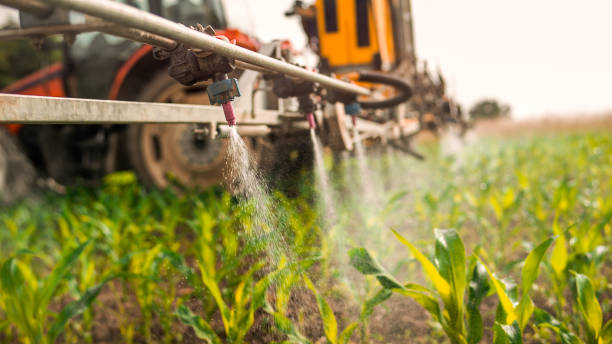 Best Local Pest Control Services  in Huntley, IL