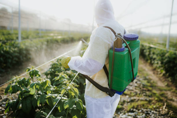 Best Best Pest Control Companies  in Huntley, IL
